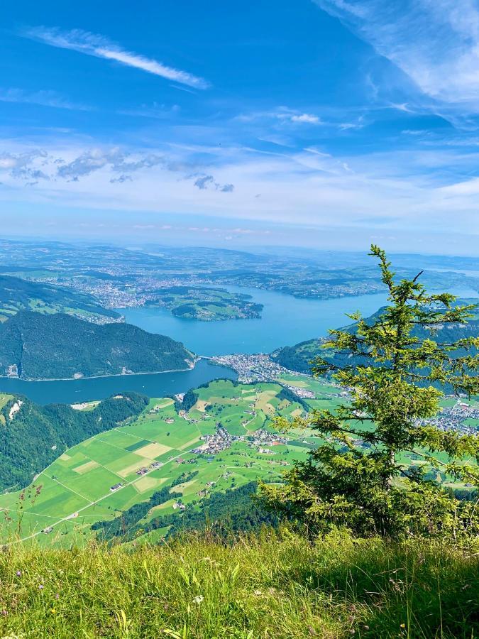 The Swiss Paradise 2 Apartment With Garden, Whirlpool, And Mountain Panorama Wirzweli Extérieur photo