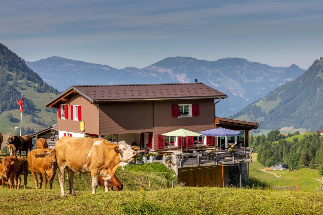 The Swiss Paradise 2 Apartment With Garden, Whirlpool, And Mountain Panorama Wirzweli Extérieur photo
